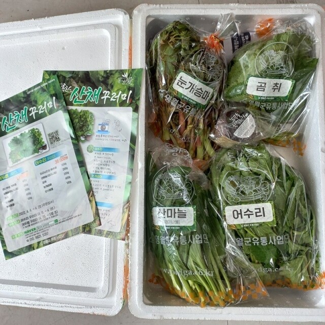 영월 동강애 고향밥상,2026년 봄나물 영특한 산채꾸러미 세트 동강애