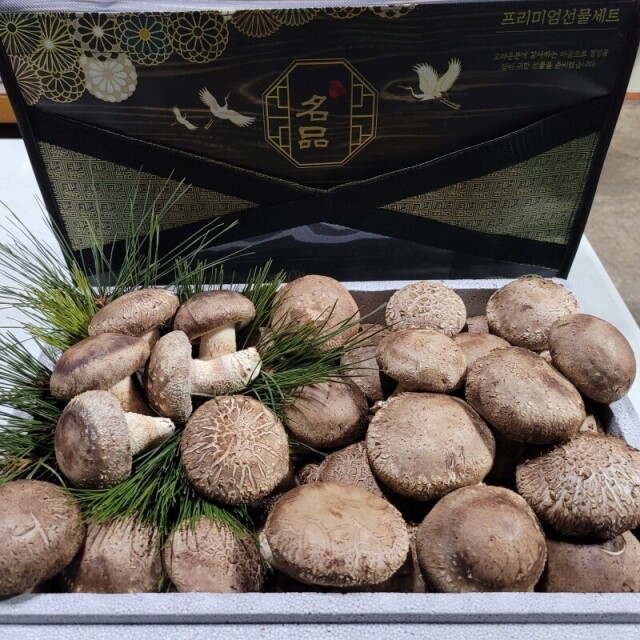 영월 동강애 고향밥상,솔향고버섯 2kg