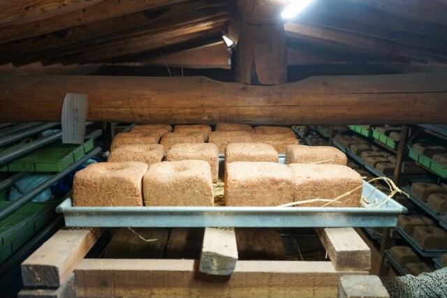 영월 동강애 고향밥상,국산콩  전통 메주 1말  영월 청정지역