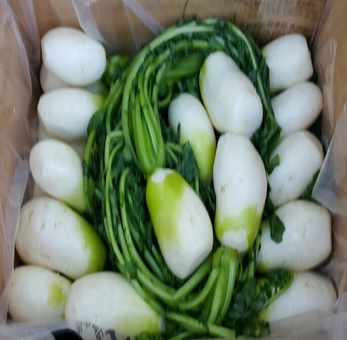 영월 동강애 고향밥상,무청절임 10kg