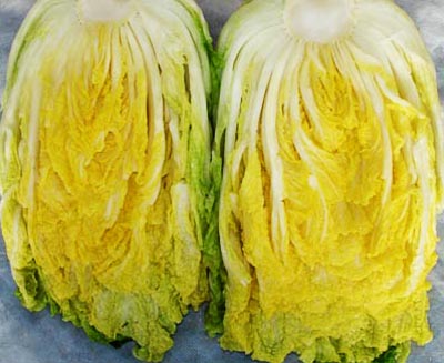 영월 동강애 고향밥상,금강산농원 절임배추 20kg