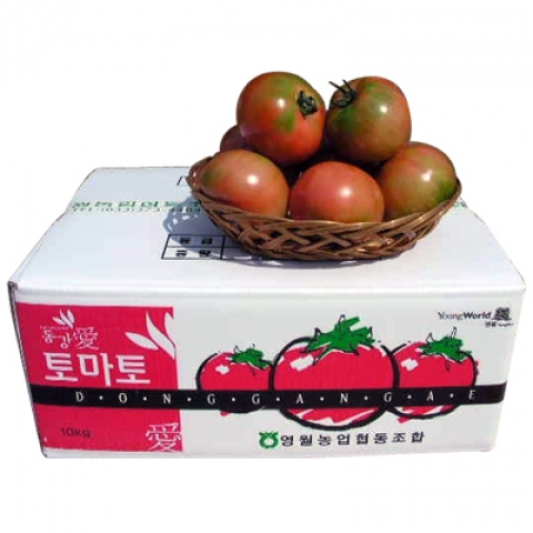 영월 동강애 고향밥상,벌이 수정한 유기농 토마토-쥬스용 10kg